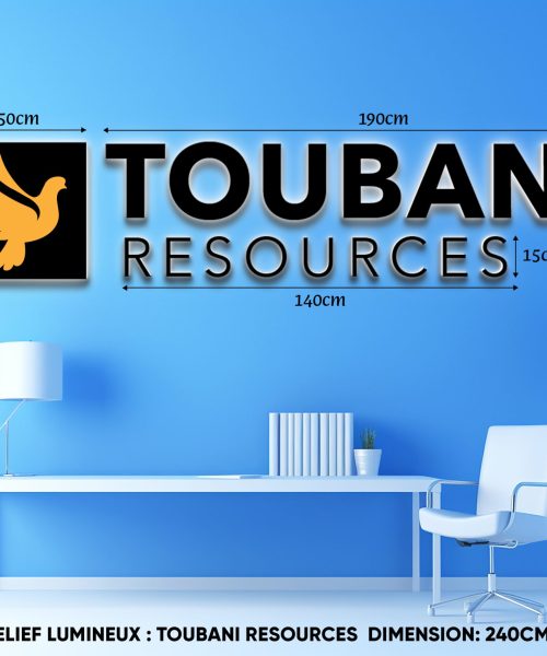 LOGO 3D TOUBANI RESSOURCES V2 copie